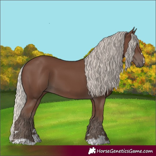 Horse Color:Silver Black 