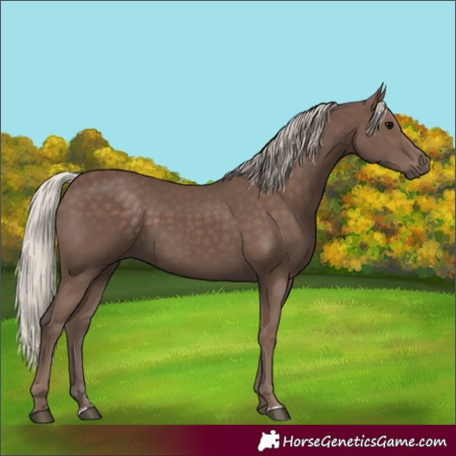 Horse Color:Silver Black 
