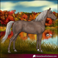 Horse Color:Silver Black