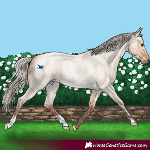 Horse Color:Silver Bay Ice Roan Dun