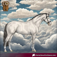Horse Color:Amber Cream Champagne