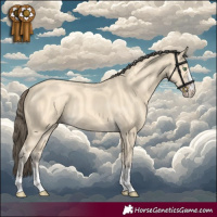 Horse Color:Amber Cream Champagne 