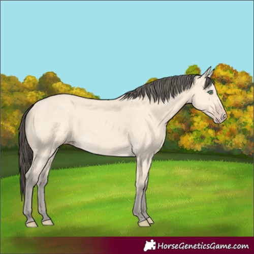 Horse Color:Amber Cream Champagne 