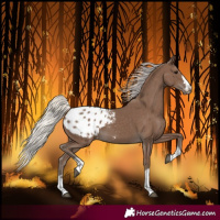 Horse Color:Silver Black Blanket