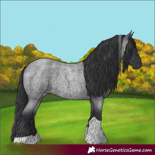 Horse Color:Blue Roan Tobiano 