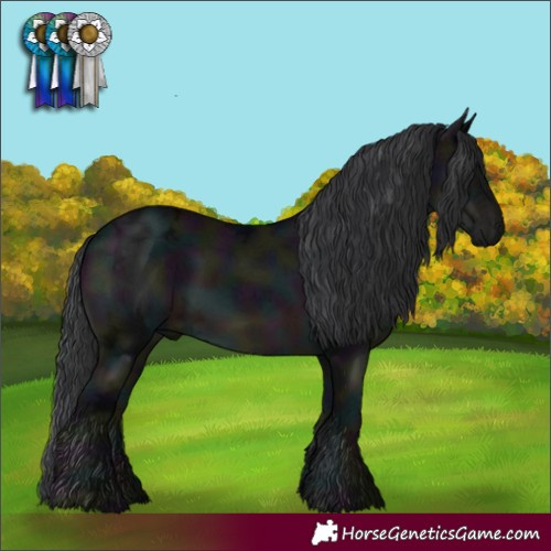 Horse Color:Midnight Black Ice 