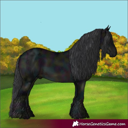 Horse Color:Midnight Black Ice