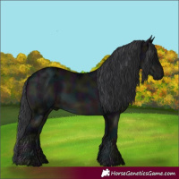 Horse Color:Midnight Black Ice 