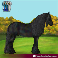 Horse Color:Midnight Black Ice 