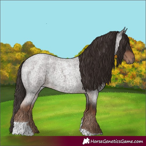 Horse Color:Liver Red Roan Tobiano