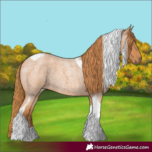 Horse Color:Red Roan Tobiano 