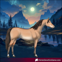 Horse Color:Bay Dun 