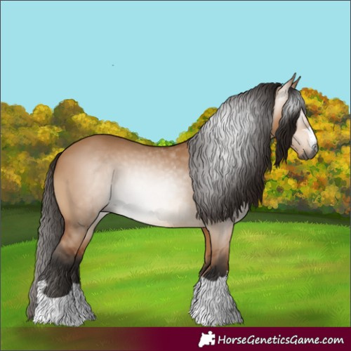 Horse Color:Gray Bay Dun 