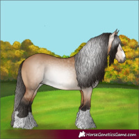Horse Color:Gray Bay Dun