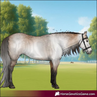 Horse Color:Gray Bay Dun 