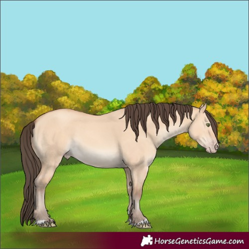 Horse Color:Amber Champagne Dun 