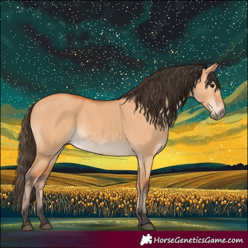 Horse Color:Bay Dun
