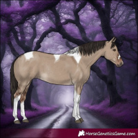 Horse Color:Liver Red Dun Tobiano Rabicano