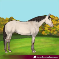 Horse Color:Amber Champagne Dun 