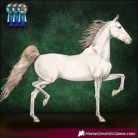 Horse Color:Sable Cream Champagne Pearl