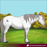 Horse Color:Platinum Liver Red Dun Pearl Near Fewspot 