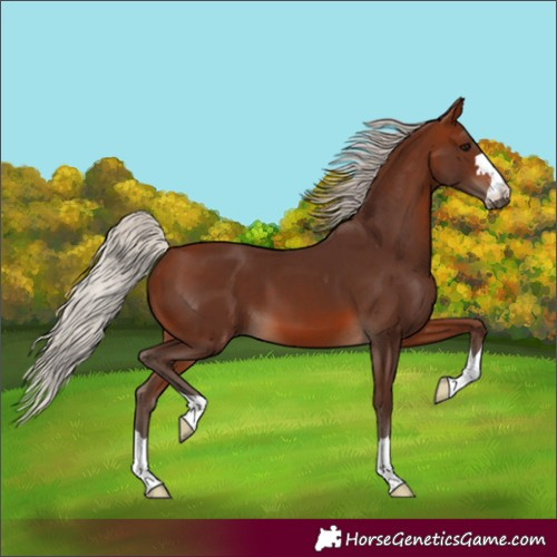 Horse Color:Silver Brown 