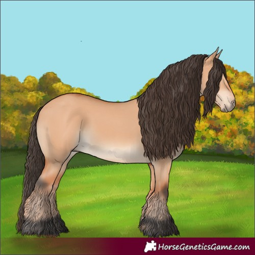 Horse Color:Bay Dun 