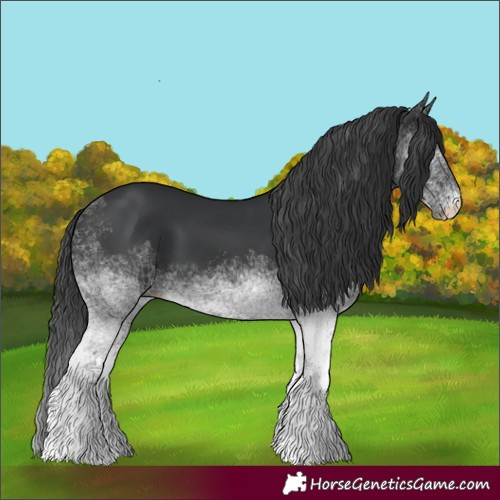 Horse Color:White Spotted Black Tobiano 