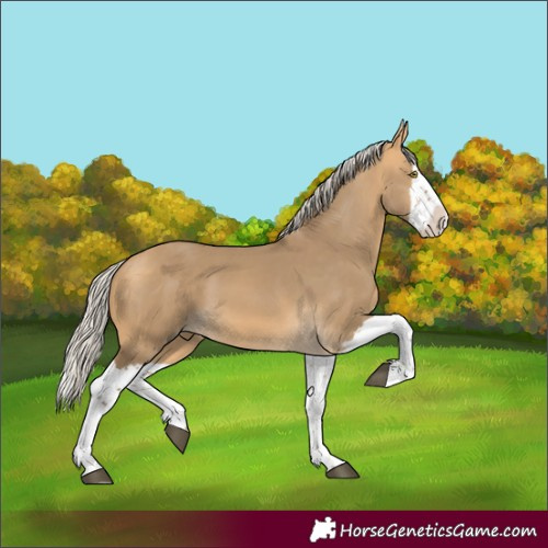 Horse Color:White Spotted Silver Buckskin Dun Splash 