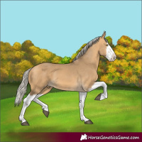 Horse Color:White Spotted Silver Buckskin Dun Splash 