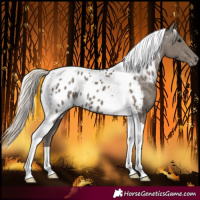 Horse Color:Silver Smoky Black Tobiano Near Leopard