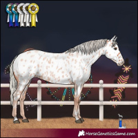 Horse Color:Silver Bay Roan Near Leopard 