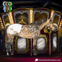 Horse Color:Buckskin Snowcap 