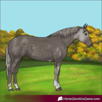 Horse Color:Silver Black Tobiano 