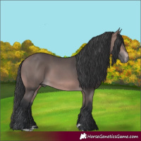 Horse Color:Platinum Bay 