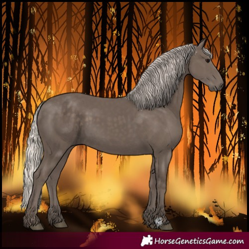 Horse Color:Silver Black 