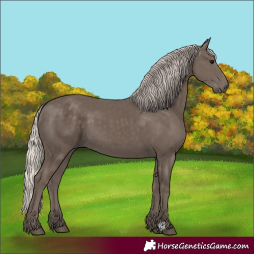 Horse Color:Silver Black 