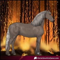 Horse Color:Silver Black 