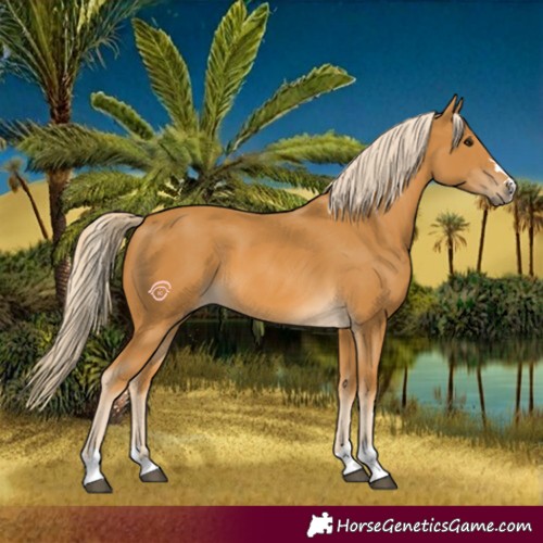 Horse Color:Palomino 
