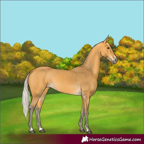 Horse Color:Silver Buckskin