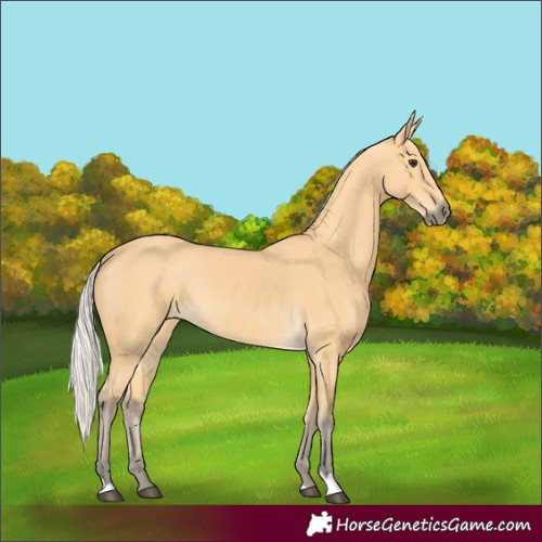 Horse Color:Silver Buckskin