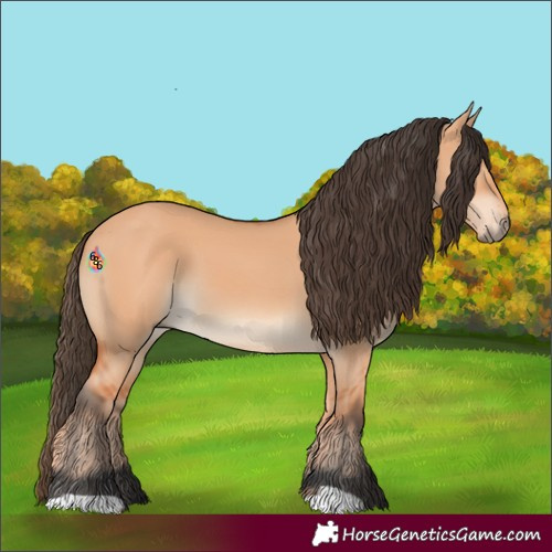 Horse Color:Bay Dun