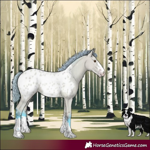 Horse Color:Watercolor Buckskin Dun Blanket