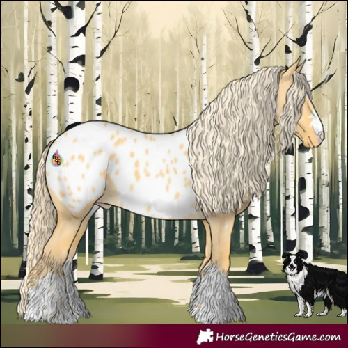 Horse Color:Palomino Dun Appaloosa 