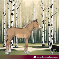 Horse Color:Chocolate Palomino Dun 