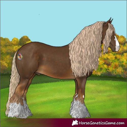 Horse Color:Chocolate Palomino 