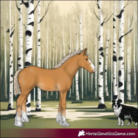 Horse Color:Palomino 