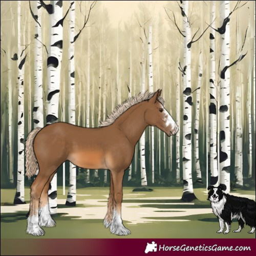 Horse Color:Chocolate Palomino