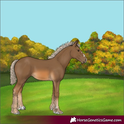 Horse Color:Chocolate Palomino