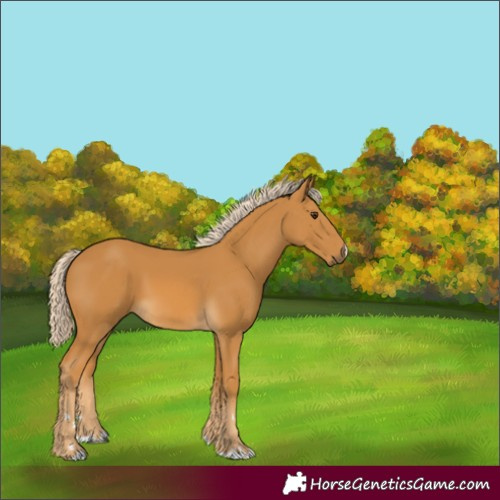 Horse Color:Palomino 
